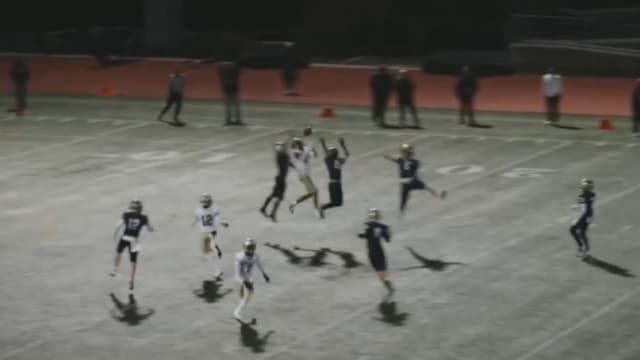 Birmingham wins the regional title on last second play